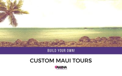 Build Your Own Custom Maui Tour with Akina Tours